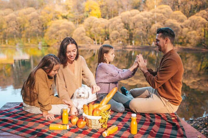 picnic in the park in fall