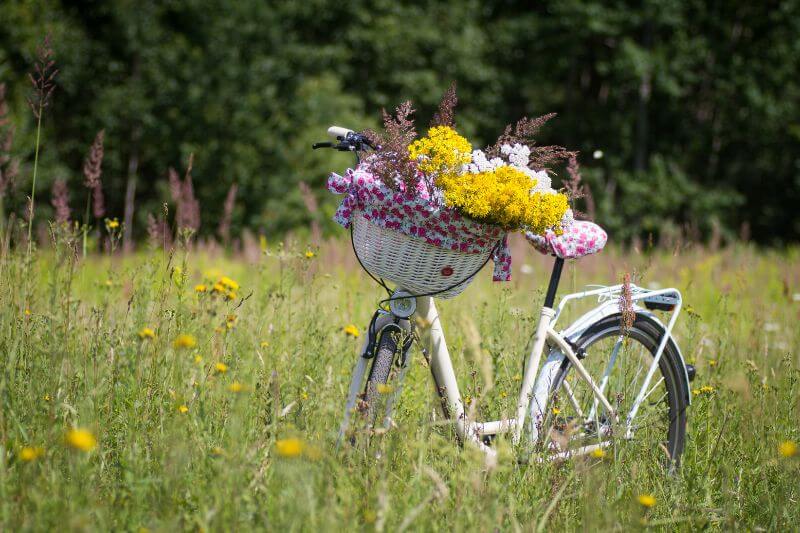 Hiking and Biking