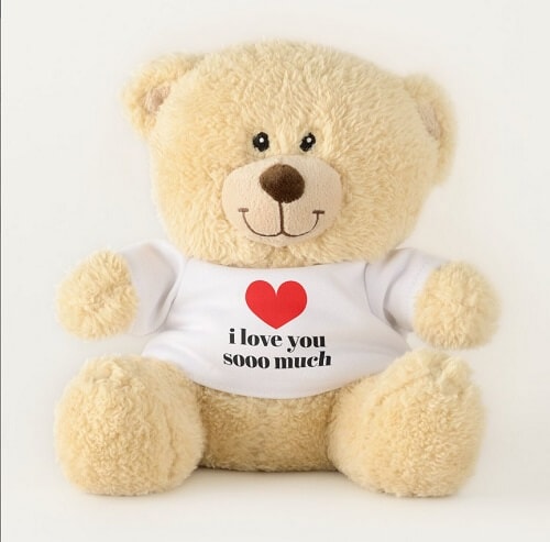 Customized Love Heart Teddy Bear