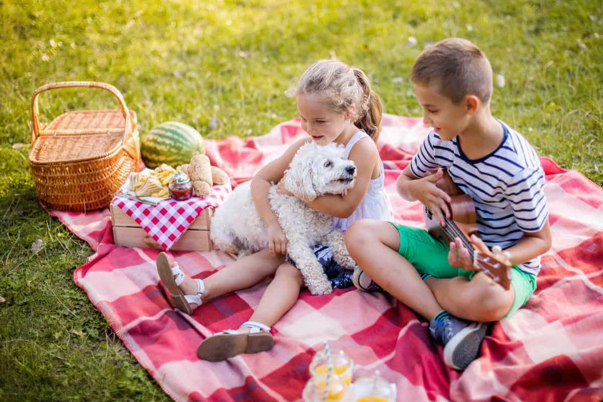 kids sitting on a picnic blanket with a white poodle, playing guitar
