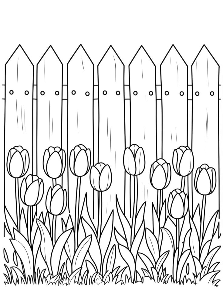 Black and white coloring page of a row of blooming tulips in front of a simple wooden fence